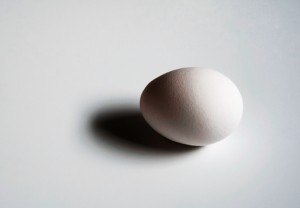 卵という1つの細胞が物語っていること 遺伝子組み換え飼料やストレスの影響の怖さ